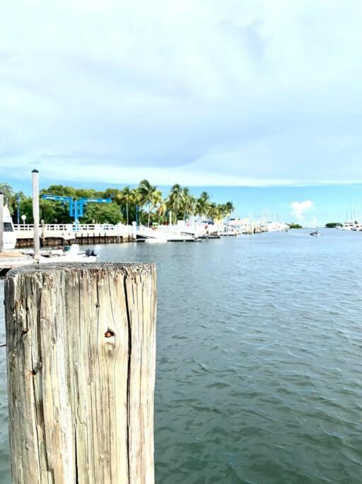 Groveo5 10 Minutes From Miami Beach Экстерьер фото